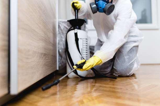 Best Exterminator Services  in Stockton, MO