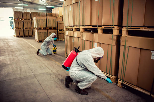 Best Affordable Pest Control Services  in Stockton, MO