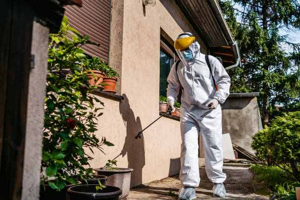 Best Local Pest Control Services  in Stockton, MO