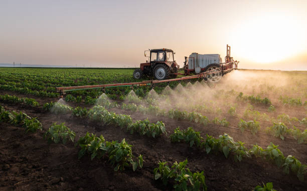 Best Mosquito Control Services  in Stockton, MO