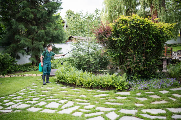 Best Residential Pest Control  in Stockton, MO