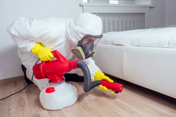 Best Pest Control Near Me  in Stockton, MO