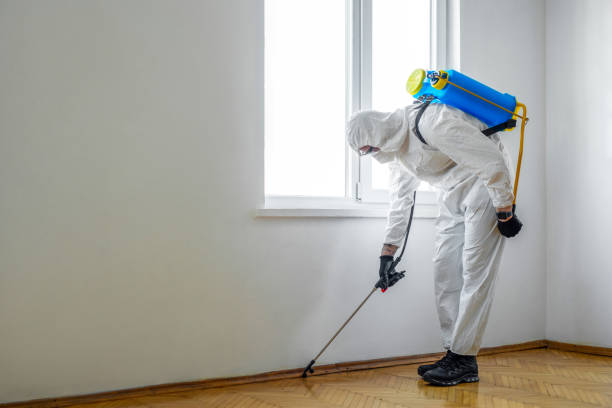 Wasp Removal Services in Stockton, MO