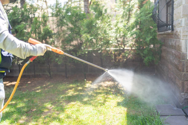 Best Spider Control Near Me  in Stockton, MO