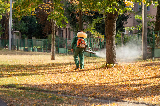 Reliable Stockton, MO Pest Control Solutions