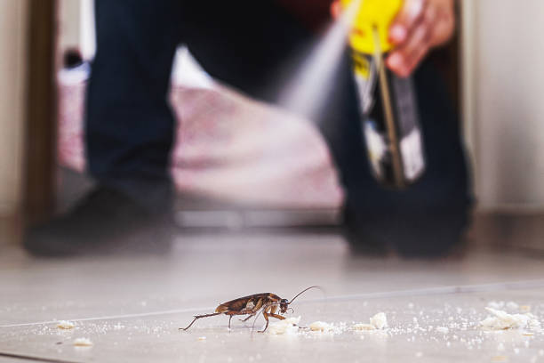 Best Affordable Pest Control Services  in Stockton, MO