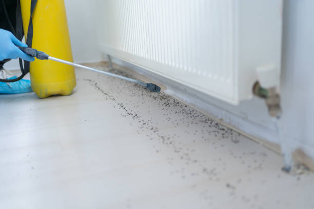 Best Local Pest Control Services  in Stockton, MO